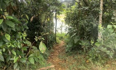 Venta Finca para Proyecto Turístico en San Roque Antioquia