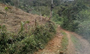 Venta Finca para Proyecto Turístico en San Roque Antioquia