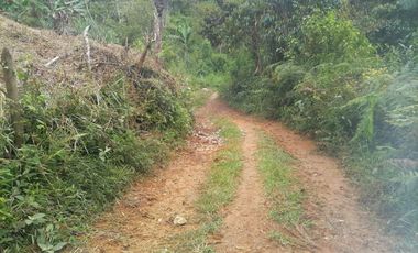 Venta Finca para Proyecto Turístico en San Roque Antioquia