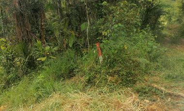 Venta Finca para Proyecto Turístico en San Roque Antioquia