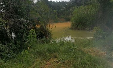 Venta Finca para Proyecto Turístico en San Roque Antioquia