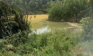 Venta Finca para Proyecto Turístico en San Roque Antioquia