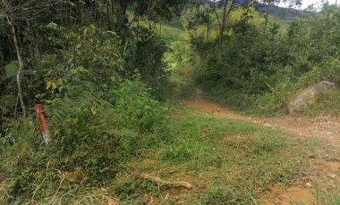 Venta Finca para Proyecto Turístico en San Roque Antioquia