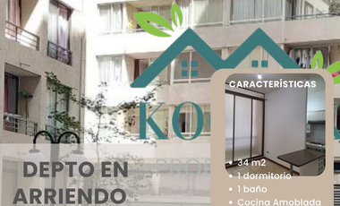 Arriendo Departamento IMPECABLE a pasos de Metro Toesca y Parque Almagro 1 D. 1B.