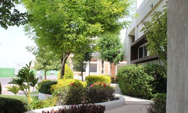 PENTHOUSE amueblado en MILENIO III Espectaculares Vistas