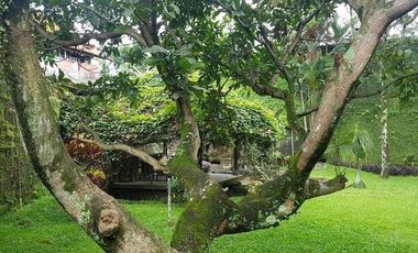 Rumah dijual cepat dan murah