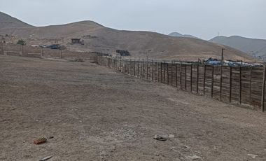 Terreno Industrial En Parque Porcino - Ventanilla