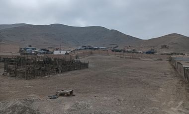 Terreno Industrial En Parque Porcino - Ventanilla
