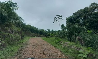 Hacienda en venta noroccidente de pichincha.