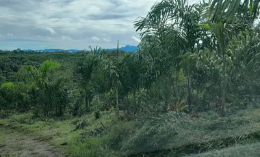 Hacienda en venta noroccidente de pichincha.
