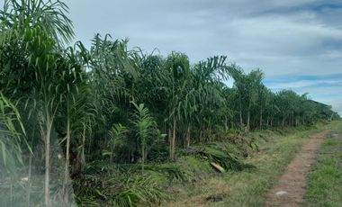 Hacienda en venta noroccidente de pichincha.