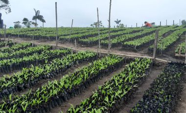Hacienda en venta noroccidente de pichincha.