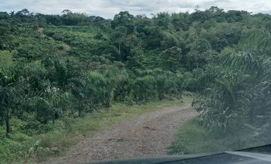Hacienda en venta noroccidente de pichincha.