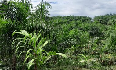 Hacienda en venta noroccidente de pichincha.