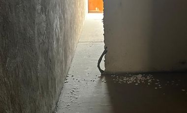 Oficina Parque Toreo