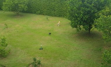 Finca campestre Villa Gloria