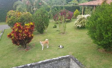 Finca campestre Villa Gloria