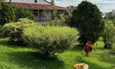 Finca campestre Villa Gloria