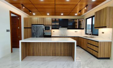 w/Pool House and Lot for Sale in BF Homes Village Paranaque Modern Elegant Finish- JB