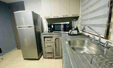 Departamento amplio amueblado en Renta