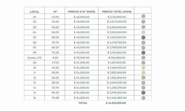 LOCALES EN VENTA,  LOMAS DE ANGELÓPOLIS CASCATTA.