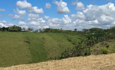 Venta Lote Terravento Sector Alcala Valle del Cauca
