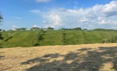 Venta Lote Terravento Sector Alcala Valle del Cauca