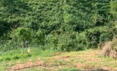 Venta Lote Terravento Sector Alcala Valle del Cauca