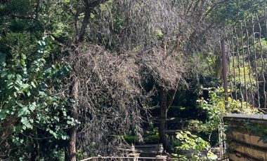 VENTA DE CASA EN CUERNAVACA MORELOS LA CAÑADA