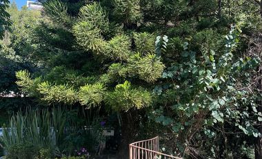 VENTA DE CASA EN CUERNAVACA MORELOS LA CAÑADA