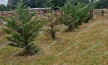 Magnífica Parcelas con todas las comodidades: Casa, Departamento, quincho, bodega...a puertas cerradas ☑️