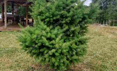 Magnífica Parcelas con todas las comodidades: Casa, Departamento, quincho, bodega...a puertas cerradas ☑️