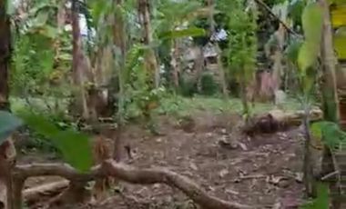 Dijual Tanah 1820 m2, SHM, di Bekasi , Cocok untuk Gudang, Usaha