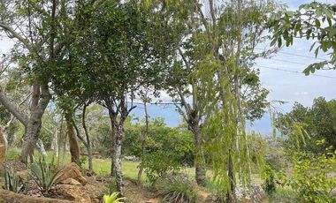 VENTA- CASA LOTE A 7 KM DE BARICHARA – NATURALEZA, SILENCIO Y ESTILO TRADICIONAL