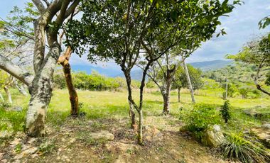 VENTA- CASA LOTE A 7 KM DE BARICHARA – NATURALEZA, SILENCIO Y ESTILO TRADICIONAL