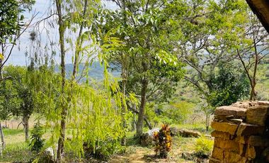 VENTA- CASA LOTE A 7 KM DE BARICHARA – NATURALEZA, SILENCIO Y ESTILO TRADICIONAL