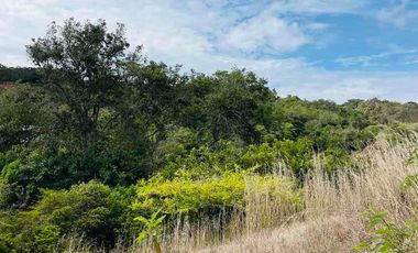 VENTA- CASA LOTE A 7 KM DE BARICHARA – NATURALEZA, SILENCIO Y ESTILO TRADICIONAL