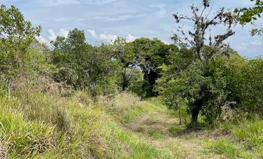 VENTA- CASA LOTE A 7 KM DE BARICHARA – NATURALEZA, SILENCIO Y ESTILO TRADICIONAL