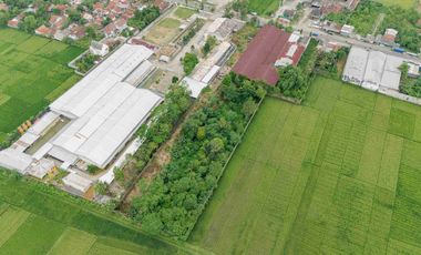 Tanah Strategis 1,3 Ha Di Jalan Utama Purbowangi Kebumen Area Pergudangan & Industri Purbowangi Buayan Kebumen