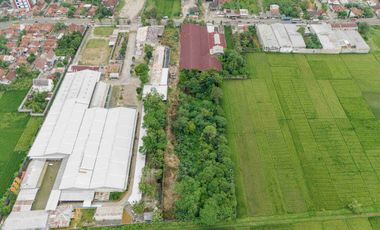 Tanah Strategis 1,3 Ha Di Jalan Utama Purbowangi Kebumen Area Pergudangan & Industri Purbowangi Buayan Kebumen