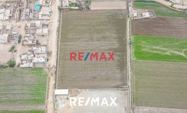 Se Vende Amplio Terreno De 20,236 M2 En Ex Fundo Chuquitanta - San Martín De Porres