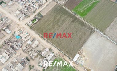 Se Vende Amplio Terreno De 20,236 M2 En Ex Fundo Chuquitanta - San Martín De Porres