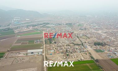 Se Vende Amplio Terreno De 20,236 M2 En Ex Fundo Chuquitanta - San Martín De Porres