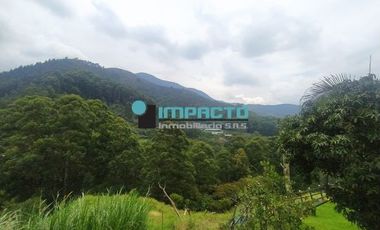 Se arrienda Casa Finca en el sector de San Antonio de prado COD-525285