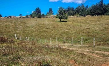 Campo de 99,8 hectáreas en venta cerca de Valdivia – praderas, bosque nativo, estero y cascadas en Los Guindo