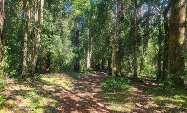 Campo de 99,8 hectáreas en venta cerca de Valdivia – praderas, bosque nativo, estero y cascadas en Los Guindo