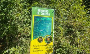 Campo de 99,8 hectáreas en venta cerca de Valdivia – praderas, bosque nativo, estero y cascadas en Los Guindo