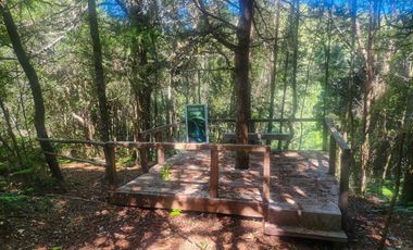 Campo de 99,8 hectáreas en venta cerca de Valdivia – praderas, bosque nativo, estero y cascadas en Los Guindo