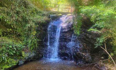 Campo de 99,8 hectáreas en venta cerca de Valdivia – praderas, bosque nativo, estero y cascadas en Los Guindo