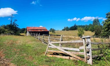 Campo de 99,8 hectáreas en venta cerca de Valdivia – praderas, bosque nativo, estero y cascadas en Los Guindo